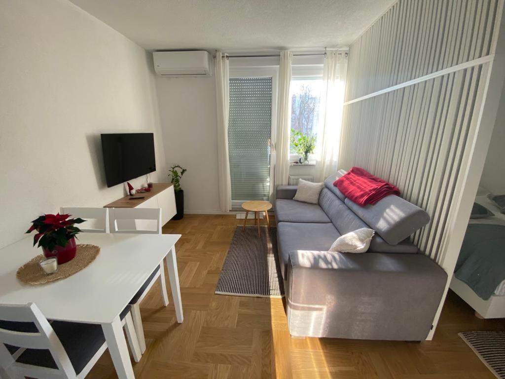 Studio Apartman Ana Zágráb Kültér fotó